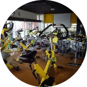 Activity