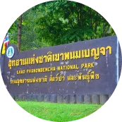 Activity
