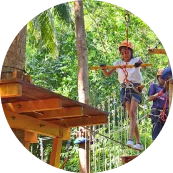 Activity
